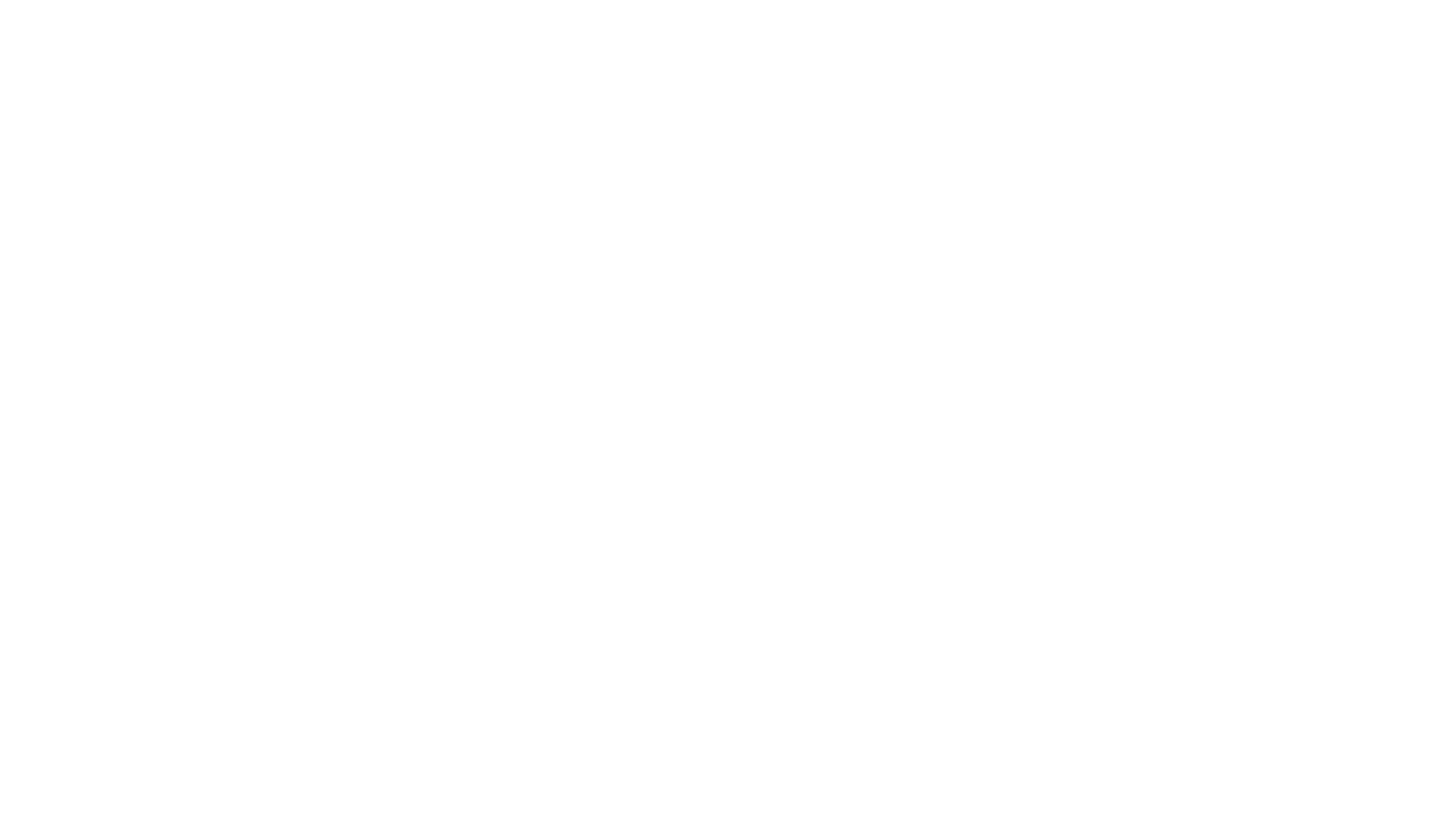 Satguru Color Lab